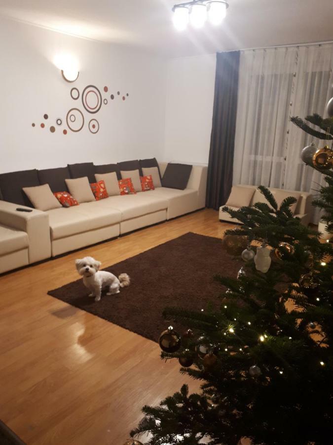 Casa Mais บราชอฟ ภายนอก รูปภาพ
