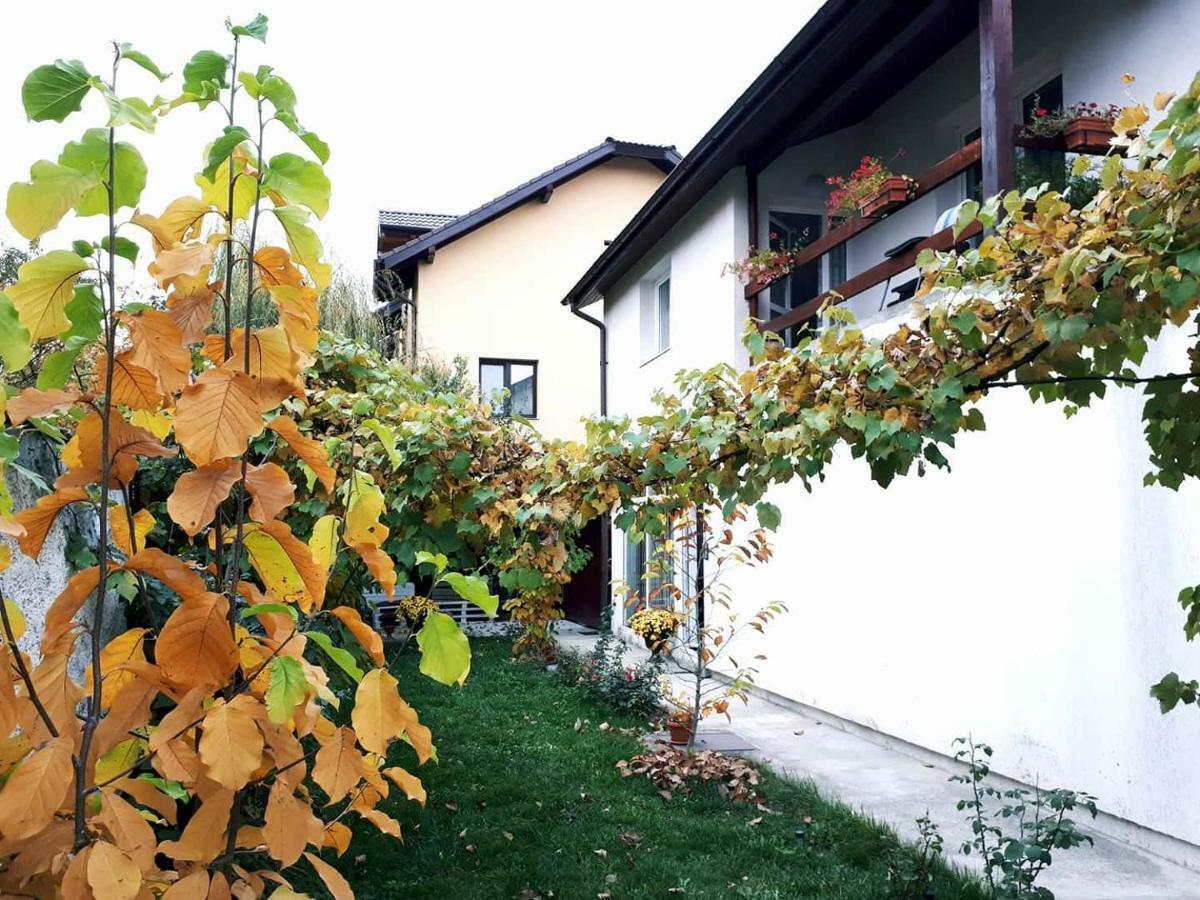 Casa Mais บราชอฟ ภายนอก รูปภาพ